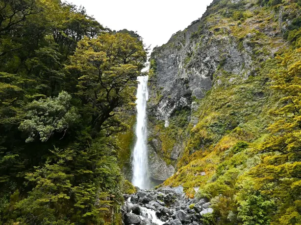 Schmaler Wasserfall umgeben von Bäumen und Moos im Arthurs Pass nationalpark