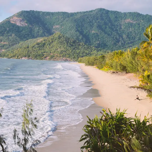 Ein einsamer tropischer Strand mit sanften Wellen und Palmen, hinter dem sich üppige, mit Regenwald bedeckte Berge erheben, in der Nähe von Cairns, Queensland, Australien
