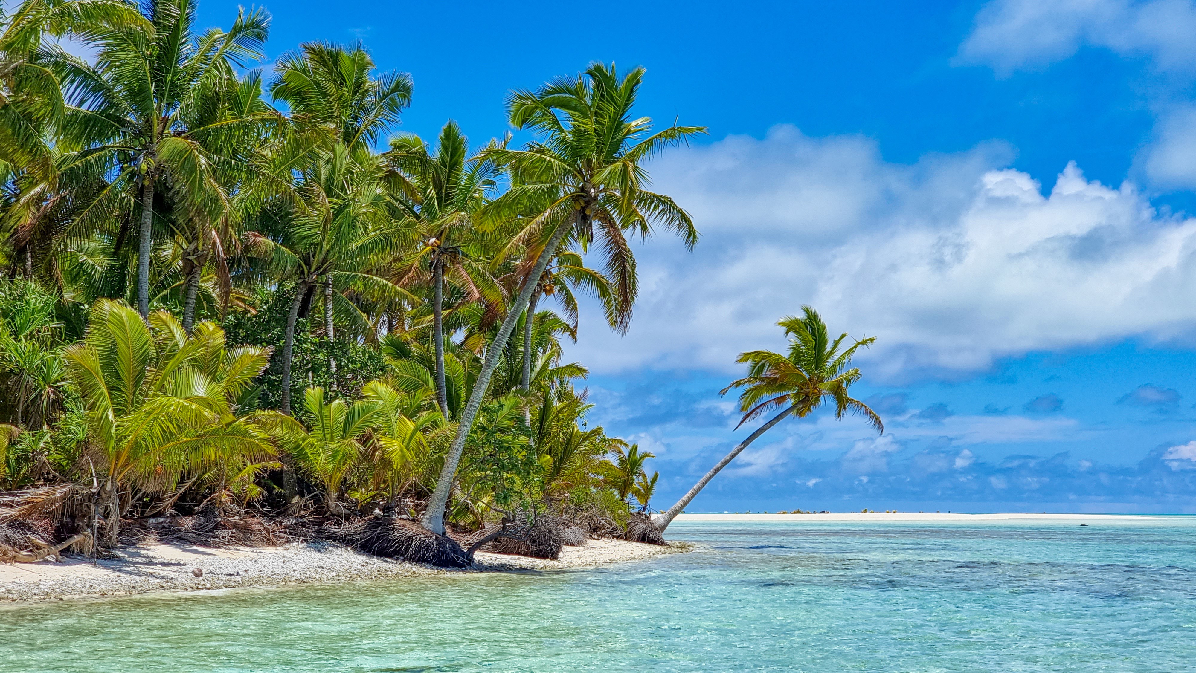 Kust van Cookeilanden, palmbomen tot land de oceaan ontmoet