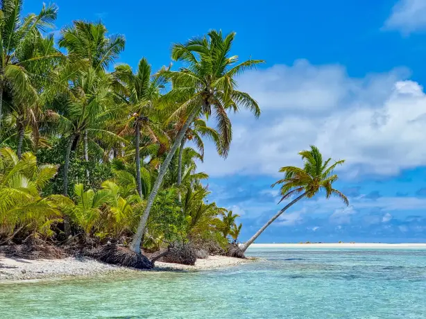 Küste der Cook-Inseln, Palmen bis zum Zusammentreffen von Land und Meer