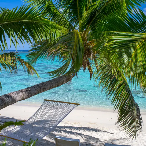 Cookeilanden strand met hangmat