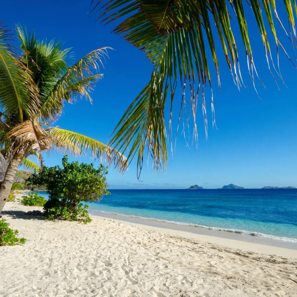 Ein weißer Sandstrand und blaues Meer mit Palmen vor einem blauen Himmel auf den Mamanuca-Inseln in Fidschi