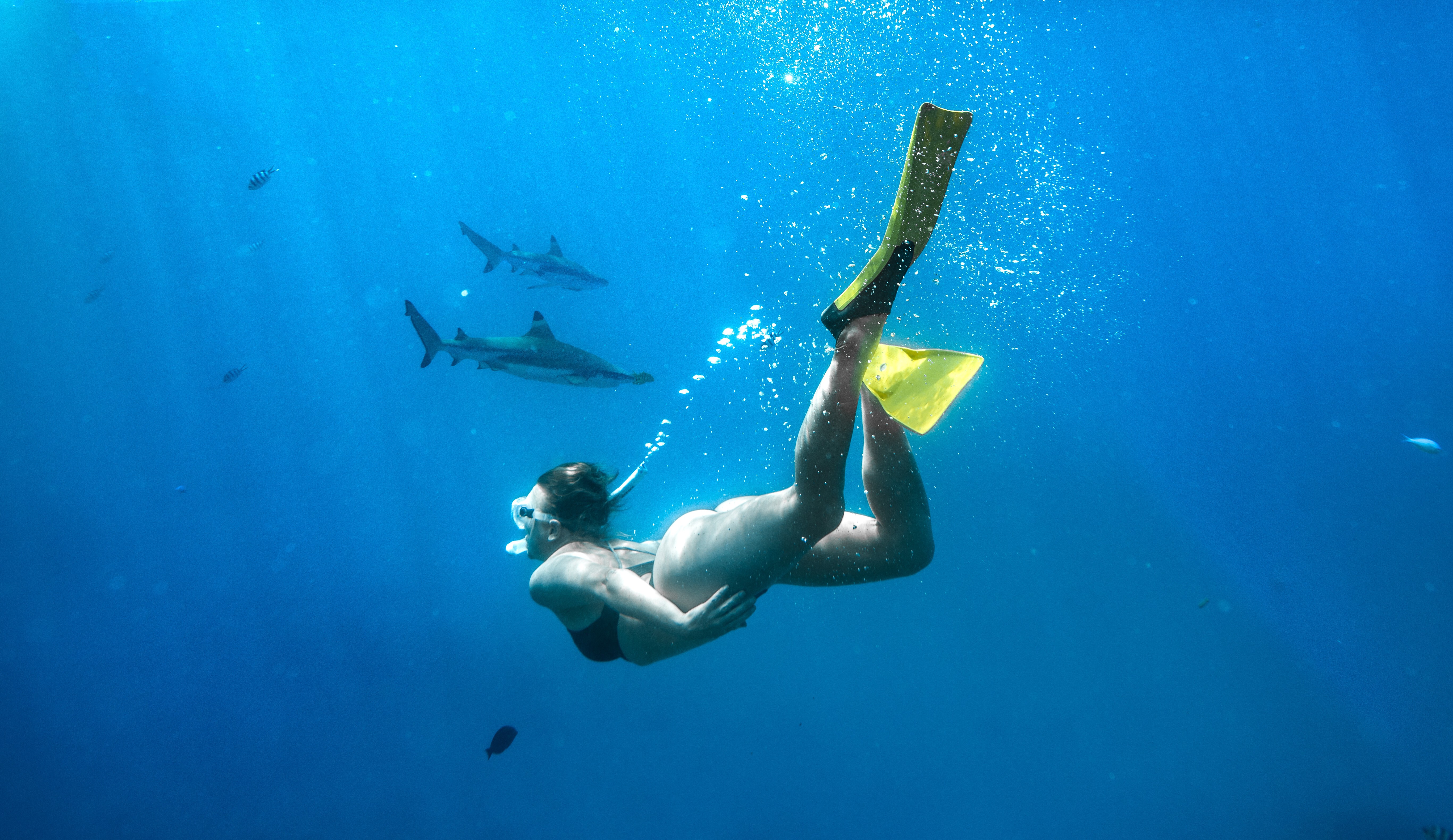 Fiji snorkling credit Brook Sabin