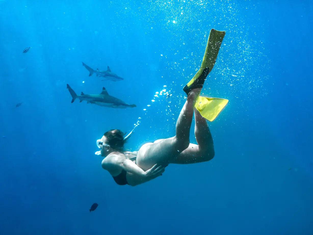 Fiji snorkling credit Brook Sabin