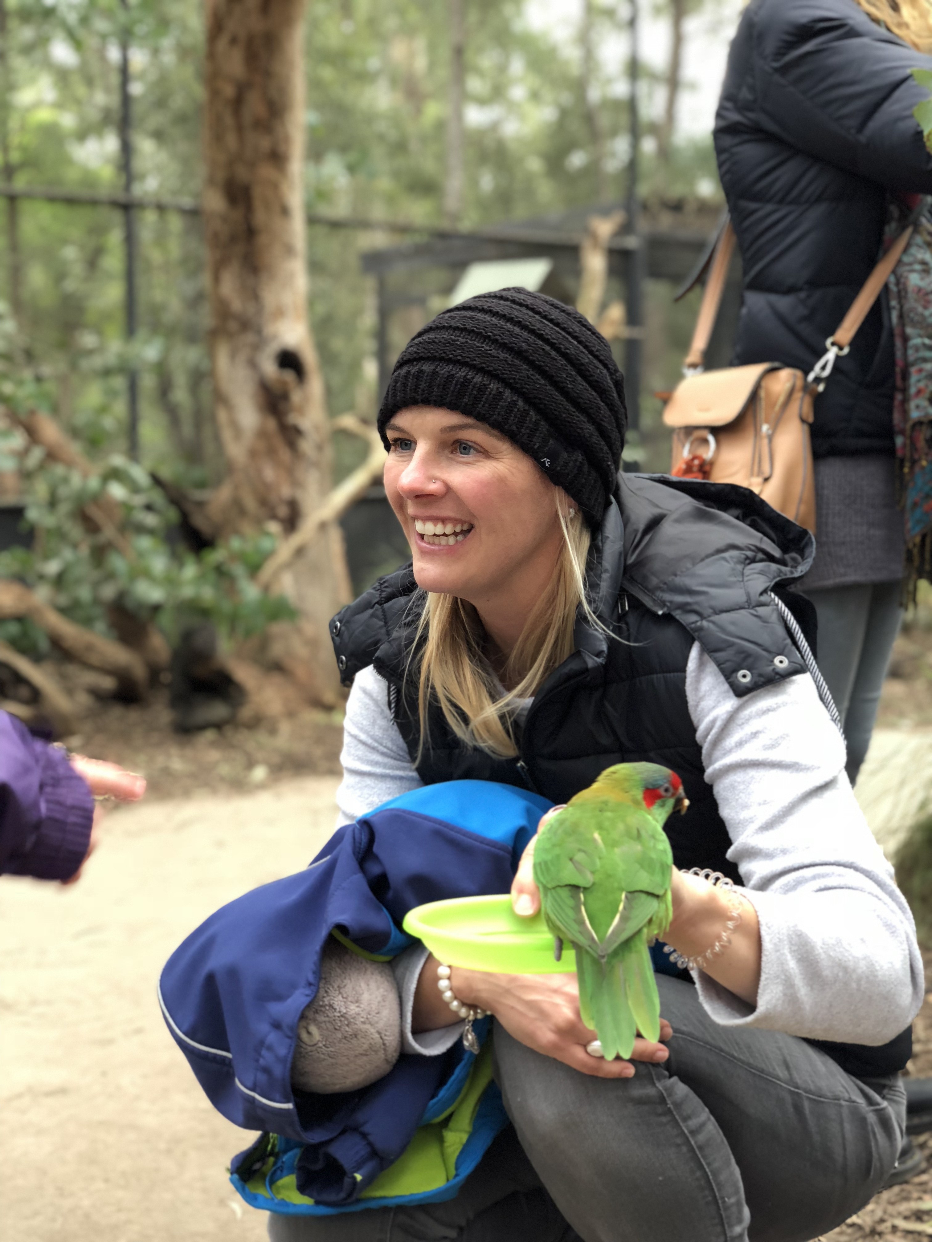Australien Veronika tropischer Vogel Papagei