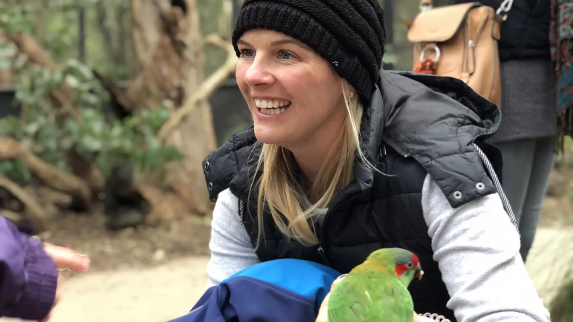 Australien Veronika tropischer Vogel Papagei