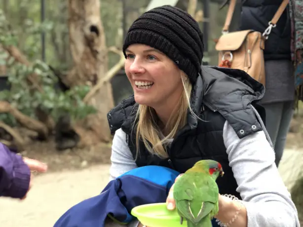 Australien Veronika tropischer Vogel Papagei
