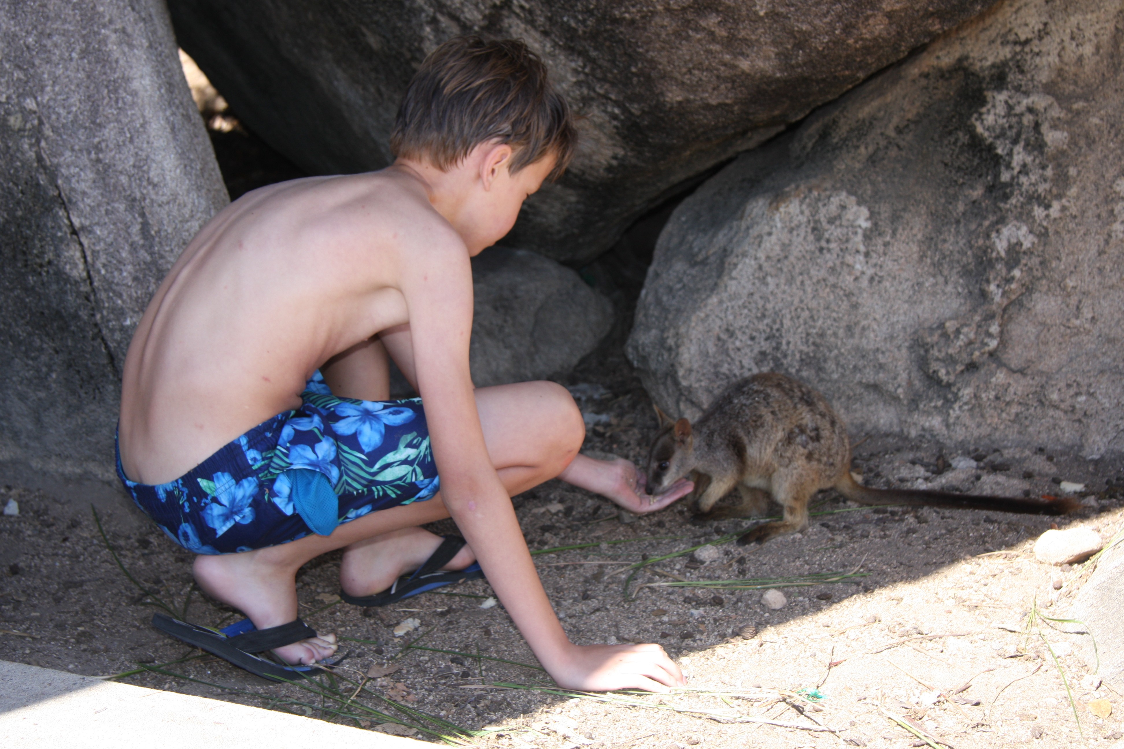 Aus fam kappert kind wallaby