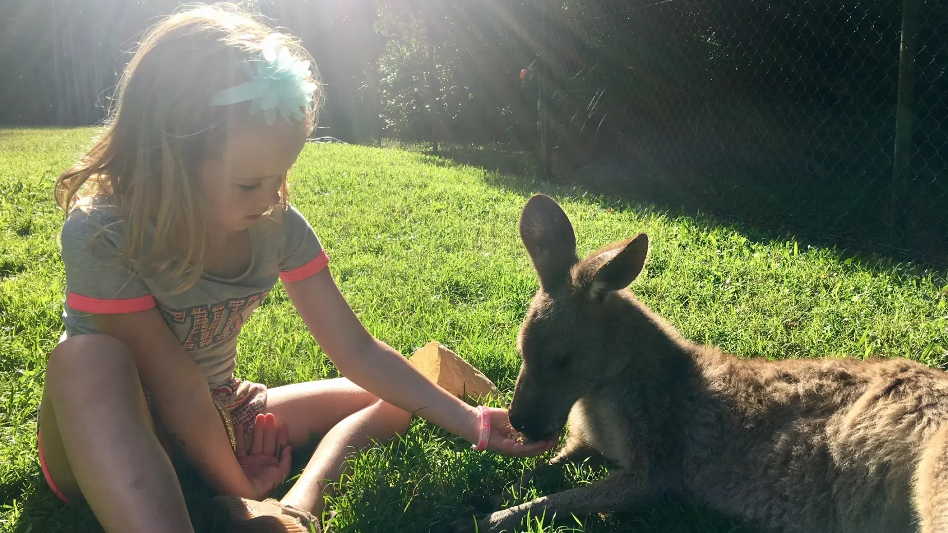 Aus familie van oord kind kangaroo