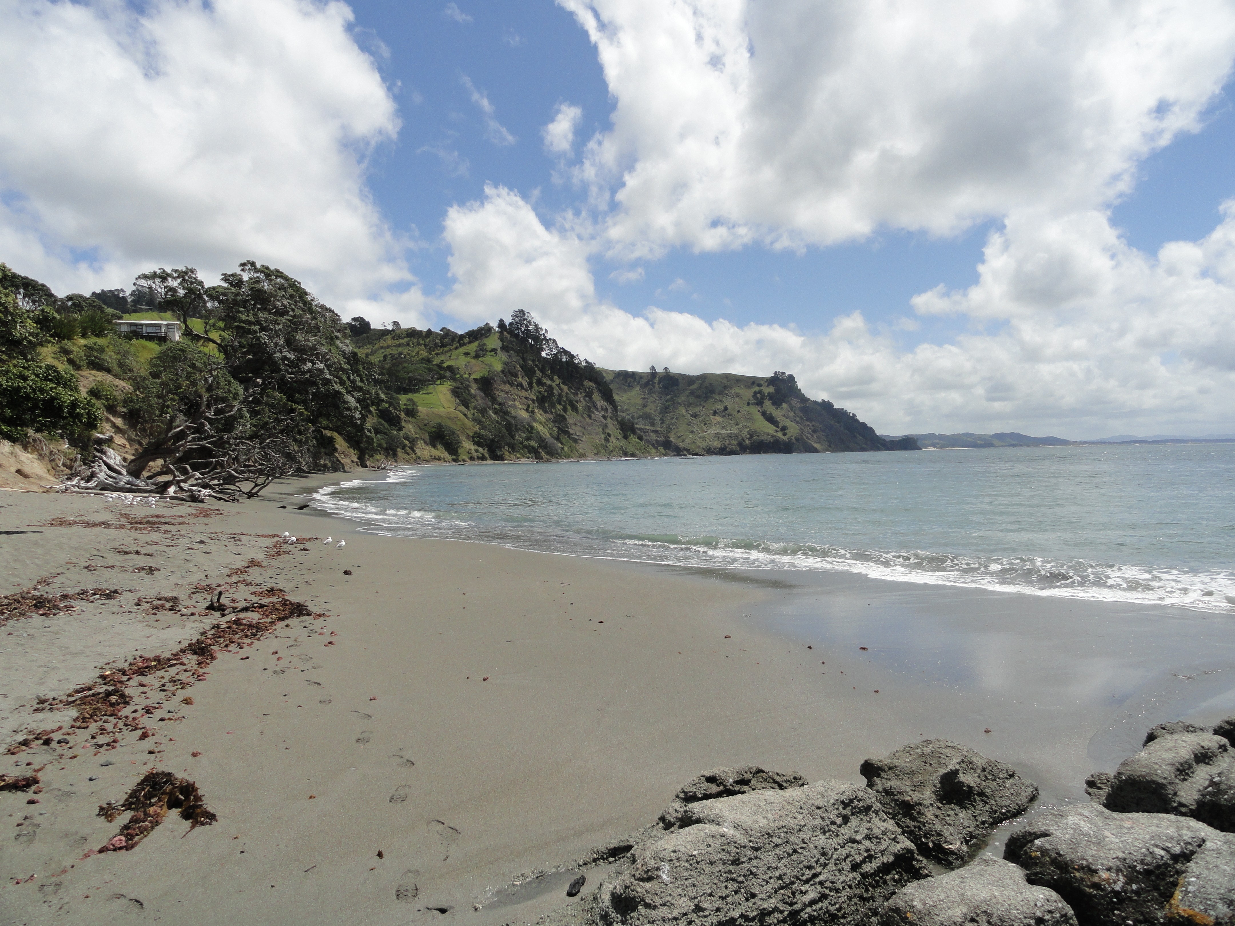 Nz solo anita beach