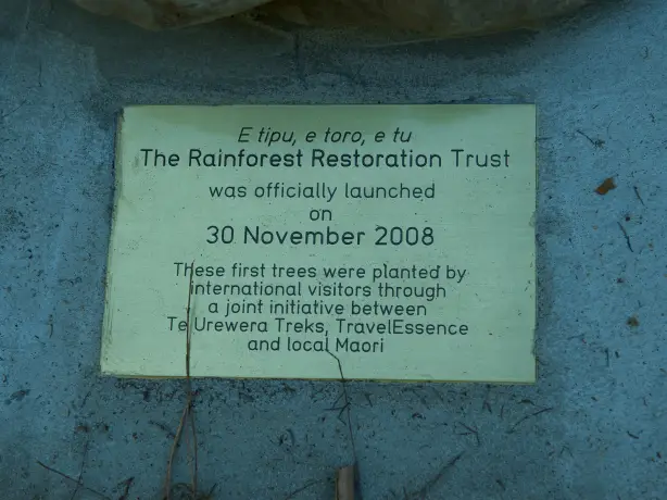 Das Zeichen des Rainforest Restoration Trust