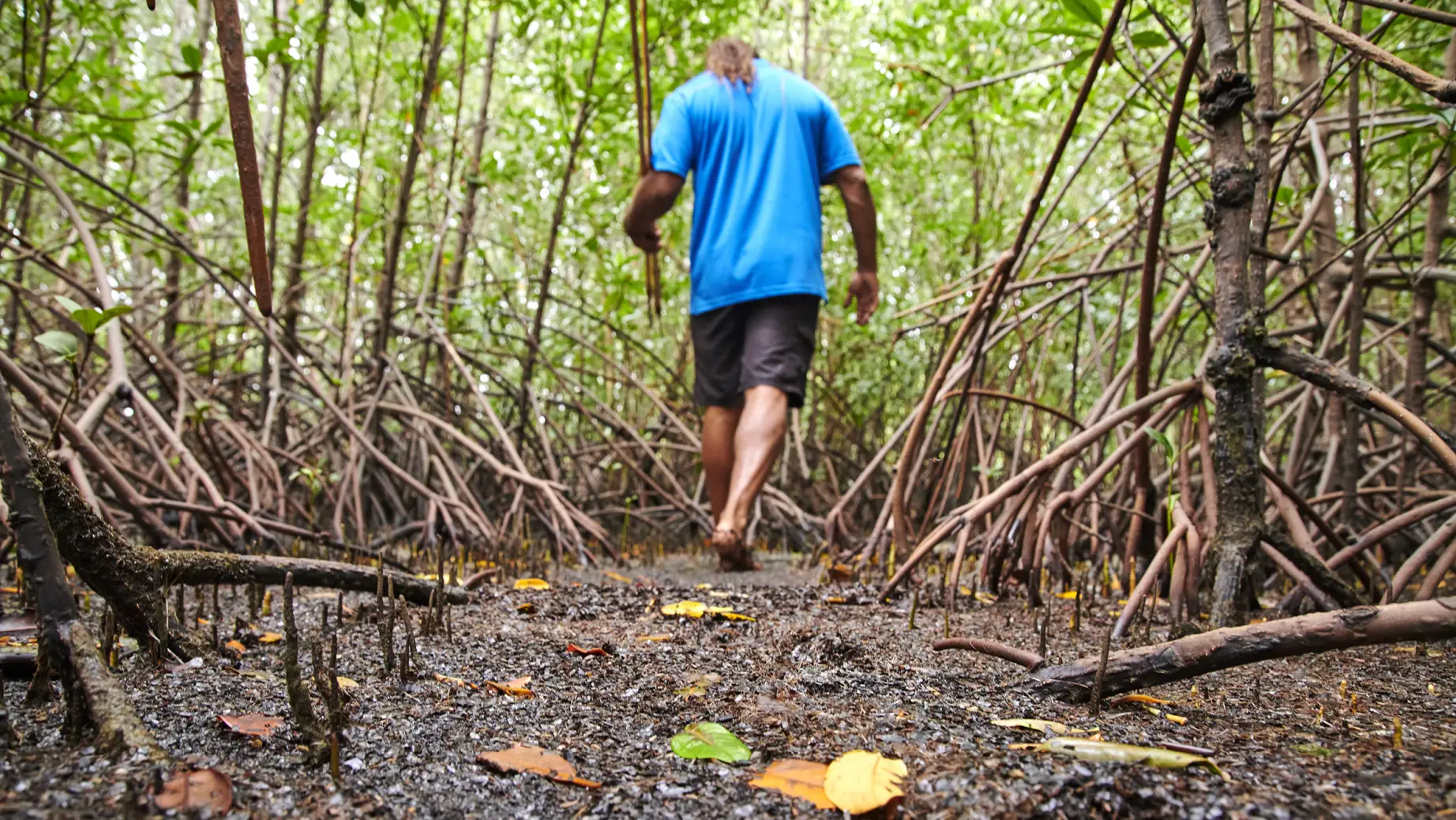 Bodenansicht eines Mannes, der durch den Wald geht