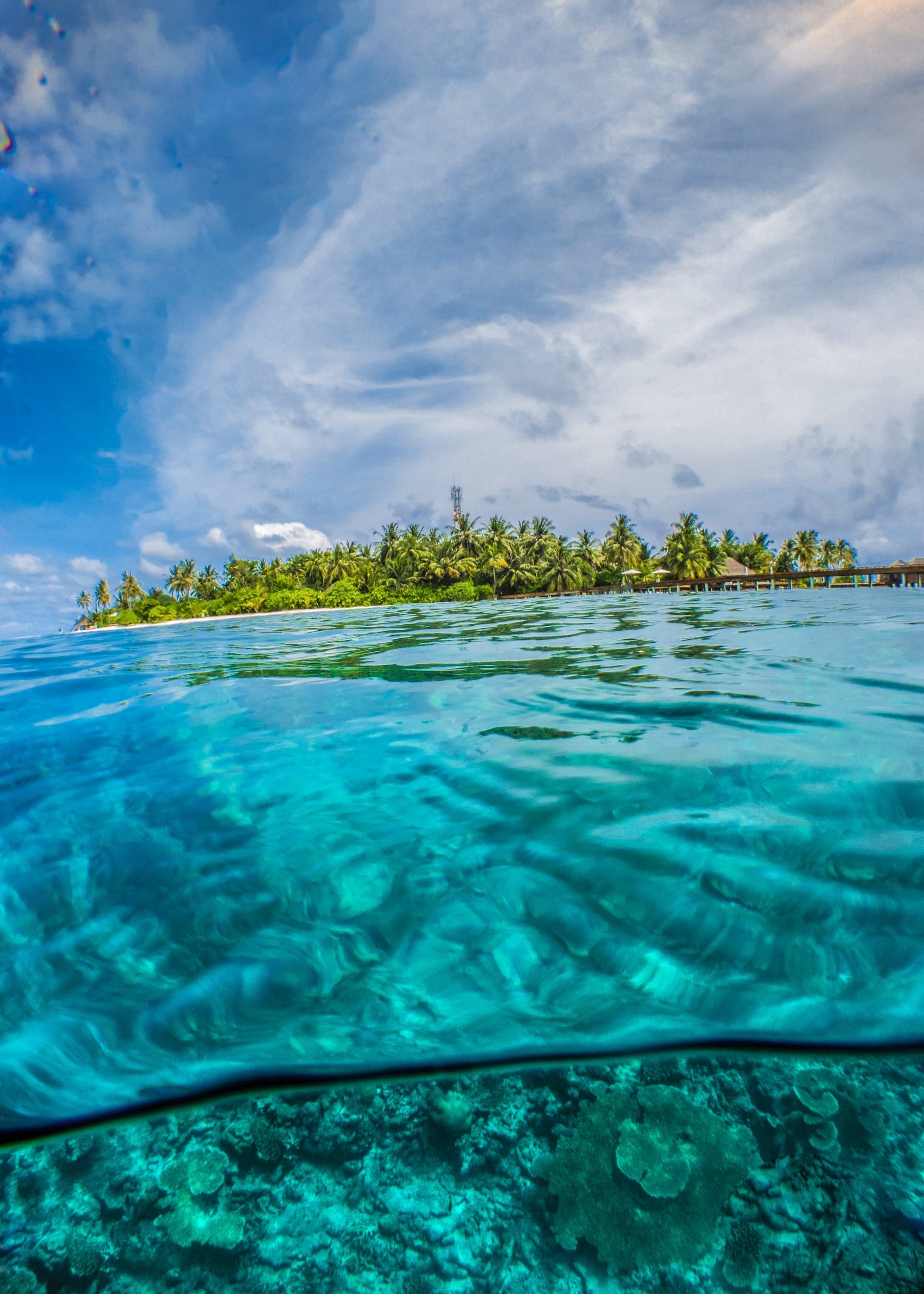 underwater and above water view of Fiji Island in the background