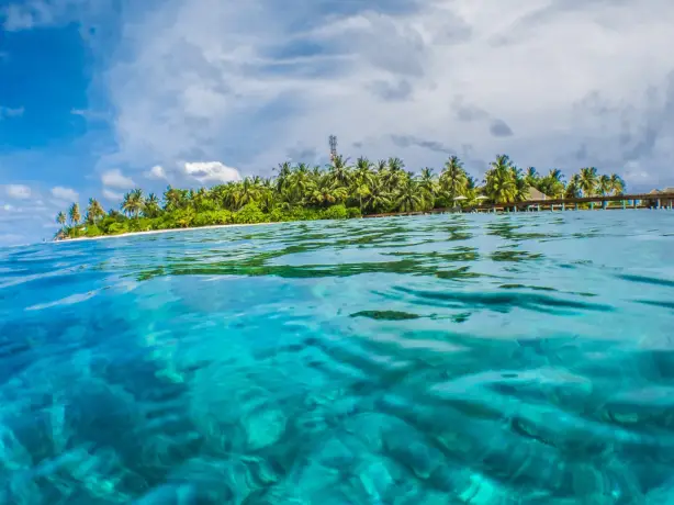underwater and above water view of Fiji Island in the background