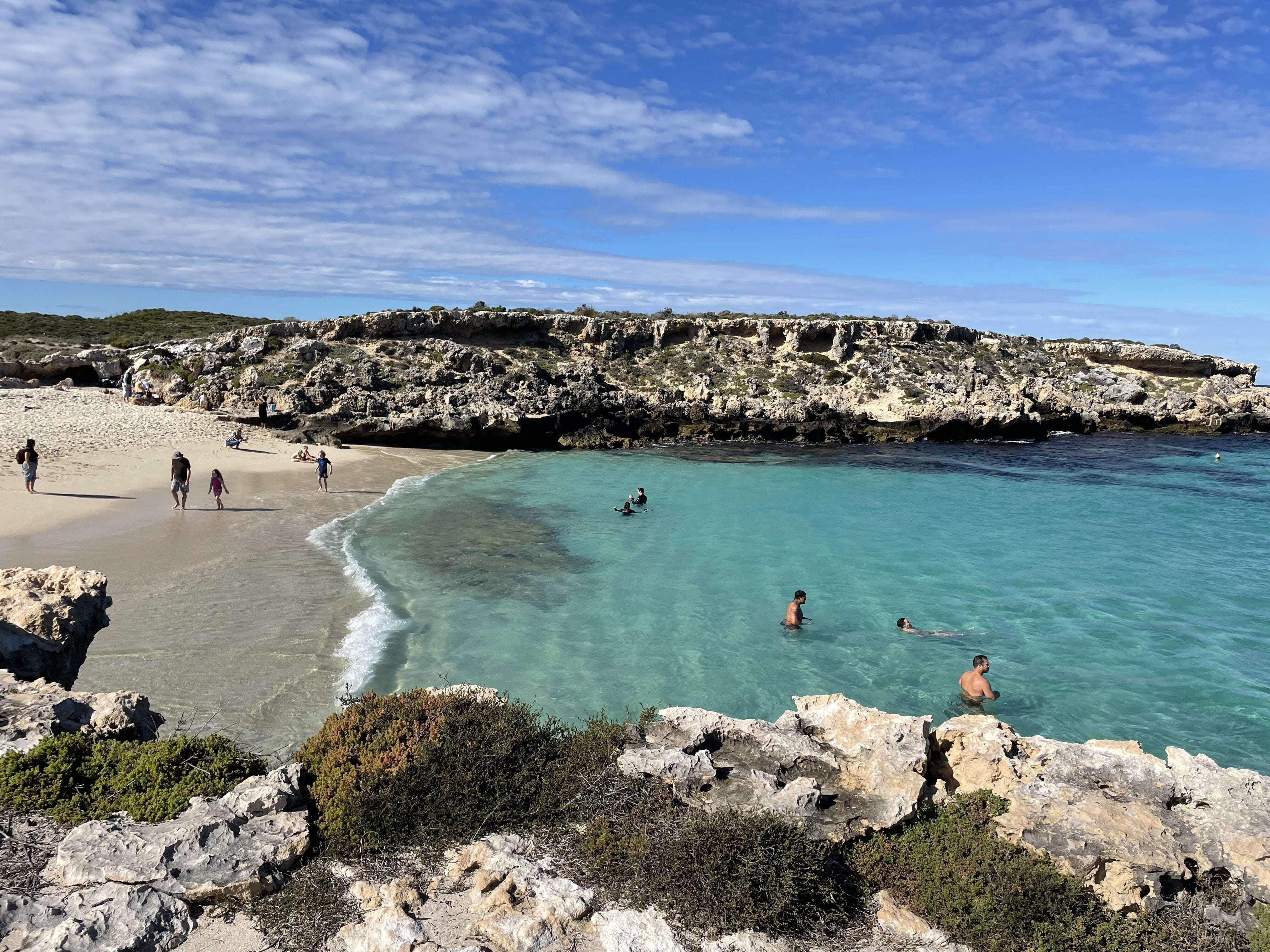 Aus wa rottnest island little salmon bay view 2