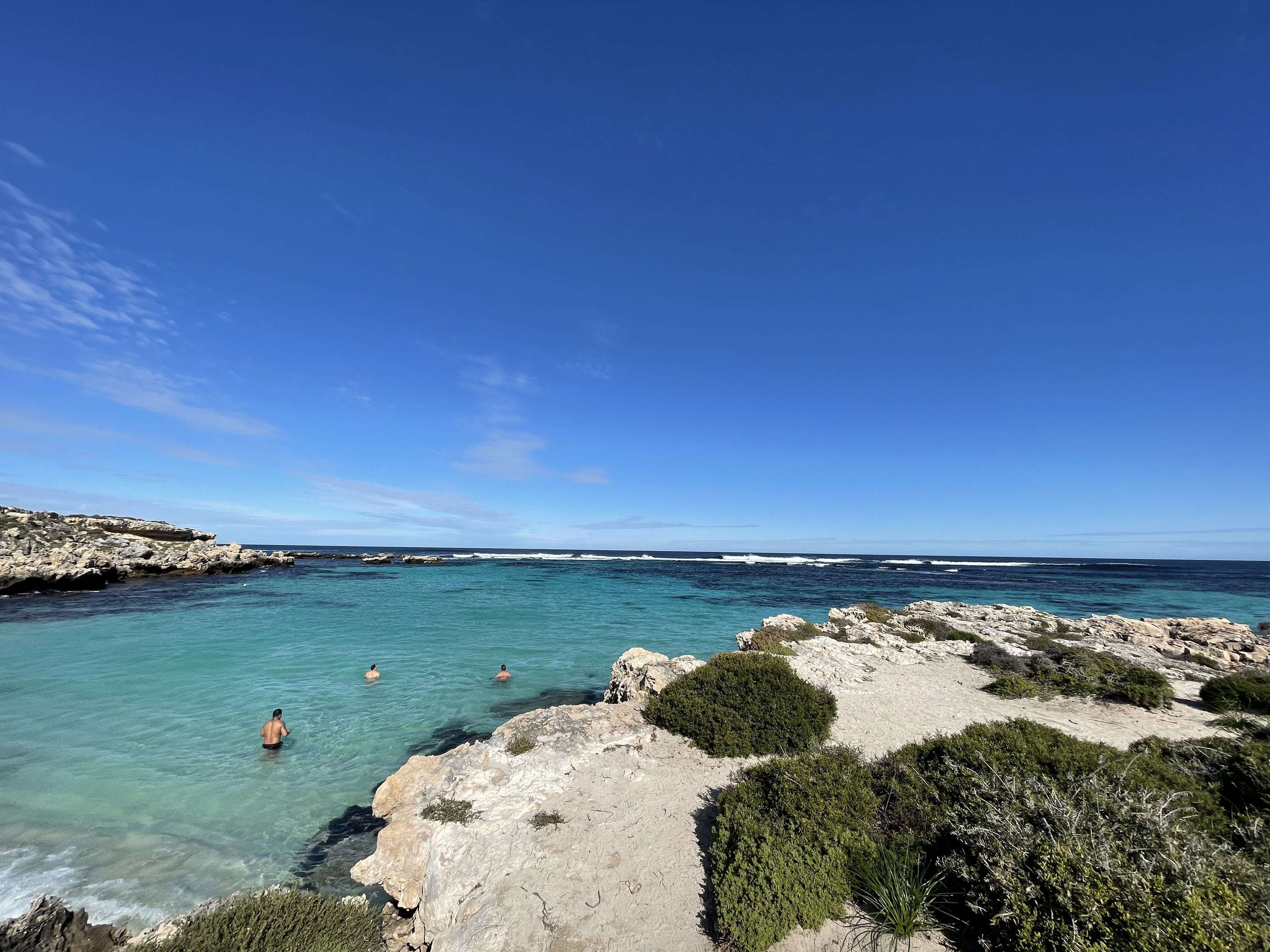 Aus wa rottnest island little salmon bay view