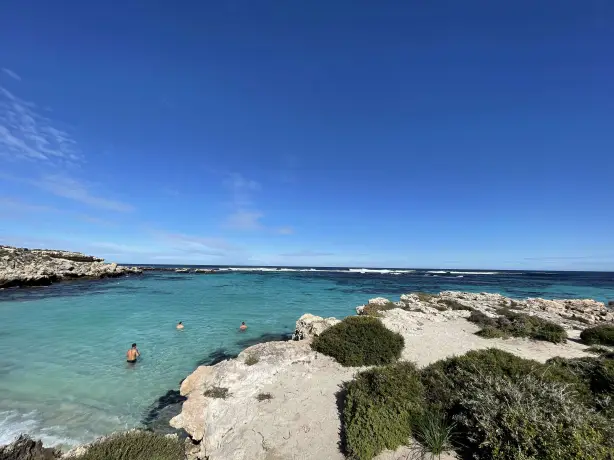 Aus wa rottnest island little salmon bay view