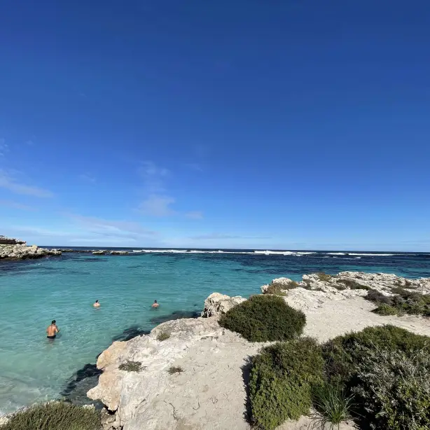 Aus wa rottnest island little salmon bay view