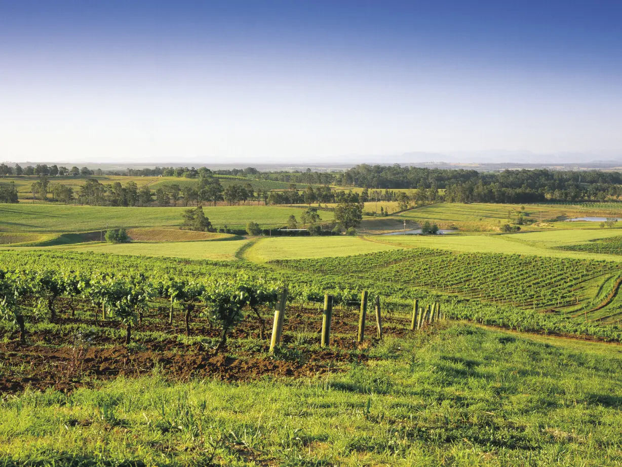 AU NSW Hunter Valley Vineyards credit Destination NSW