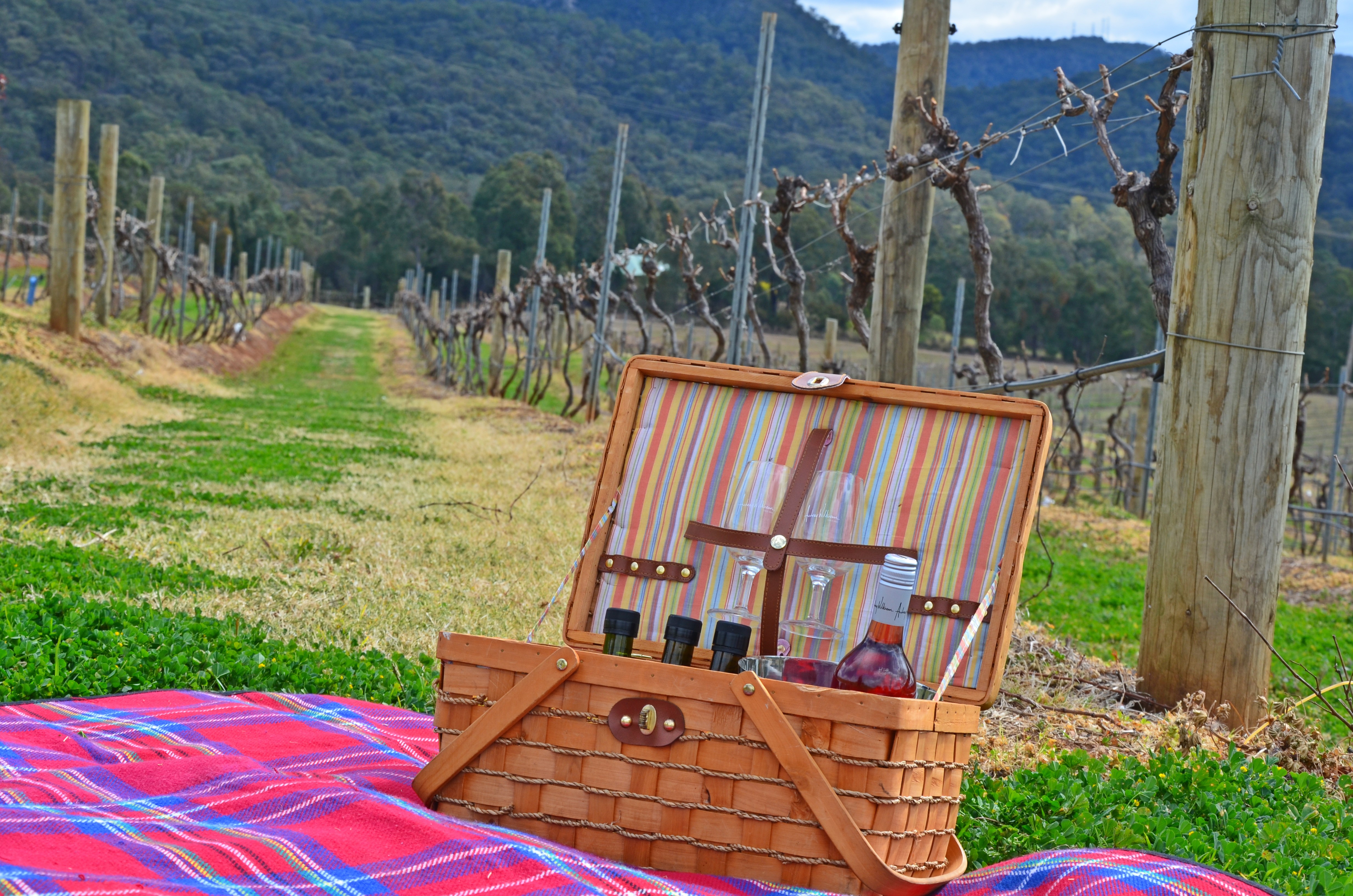 Aus nsw Audrey Wilkinson Winery hunter valley picnic