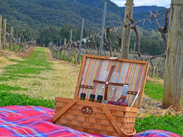 Aus nsw Audrey Wilkinson Winery hunter valley picnic