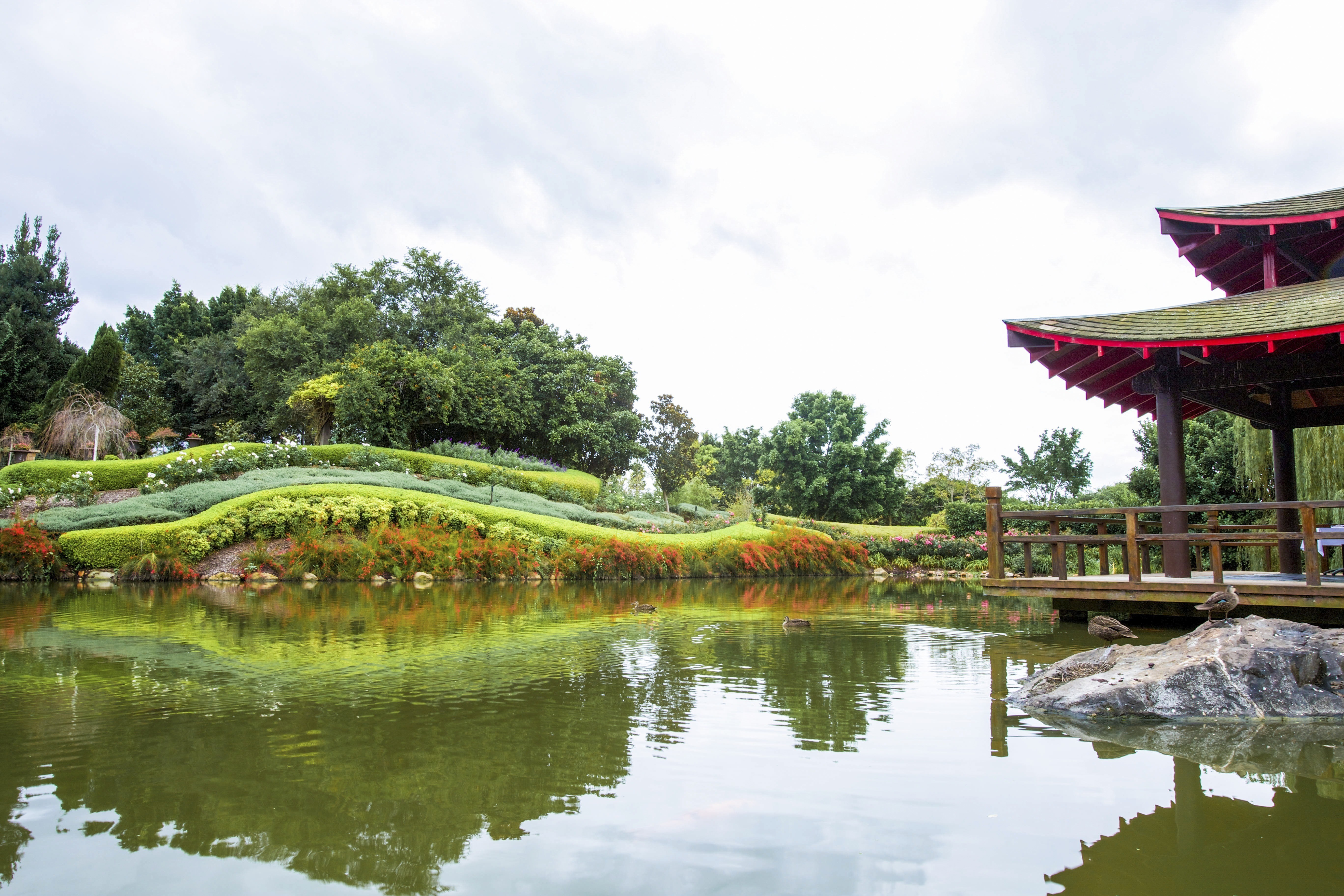 Aus nsw Hunter Valley Gardens