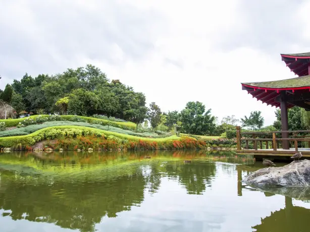 Aus nsw Hunter Valley Gardens