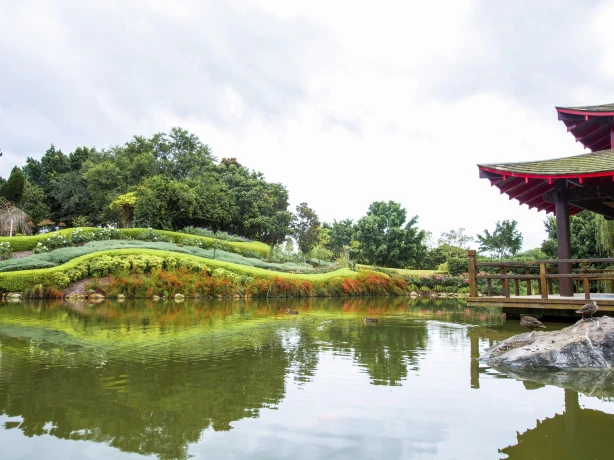 Aus nsw Hunter Valley Gardens