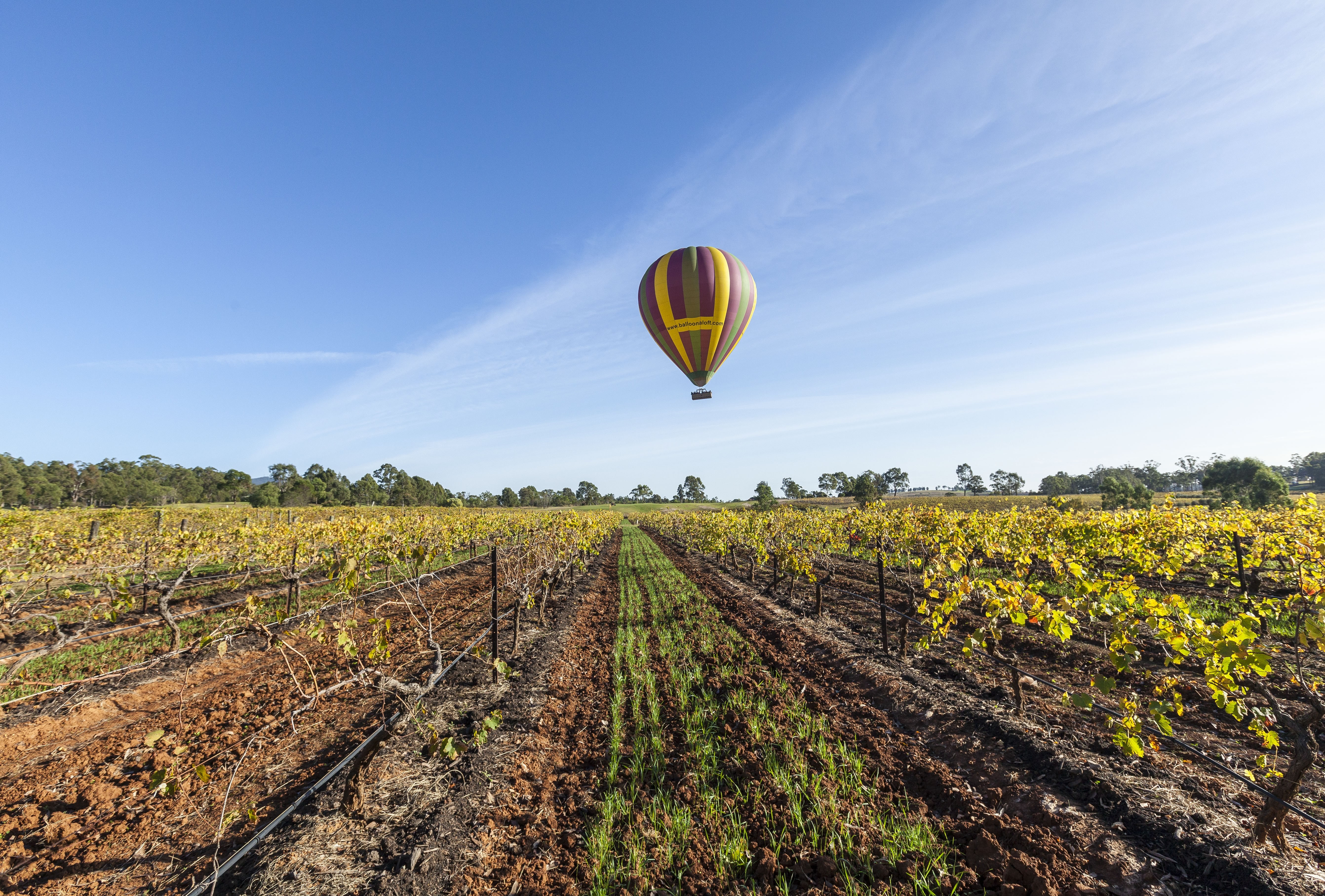 Aus nsw Hunter Valley balloon
