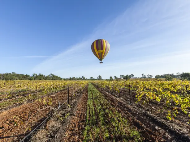 Aus nsw Hunter Valley balloon