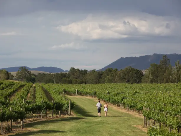 Aus nsw Wyndham Estate hunter valley