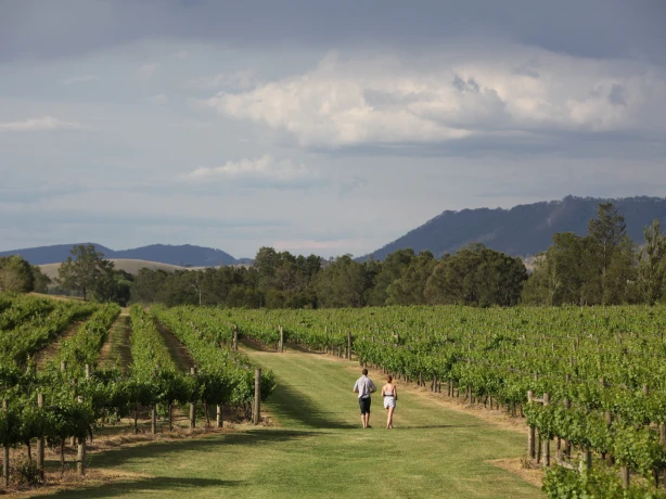 Aus nsw Wyndham Estate hunter valley