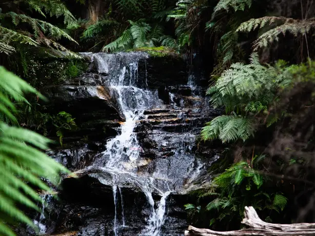 Aus nsw blue mountains cascade falls