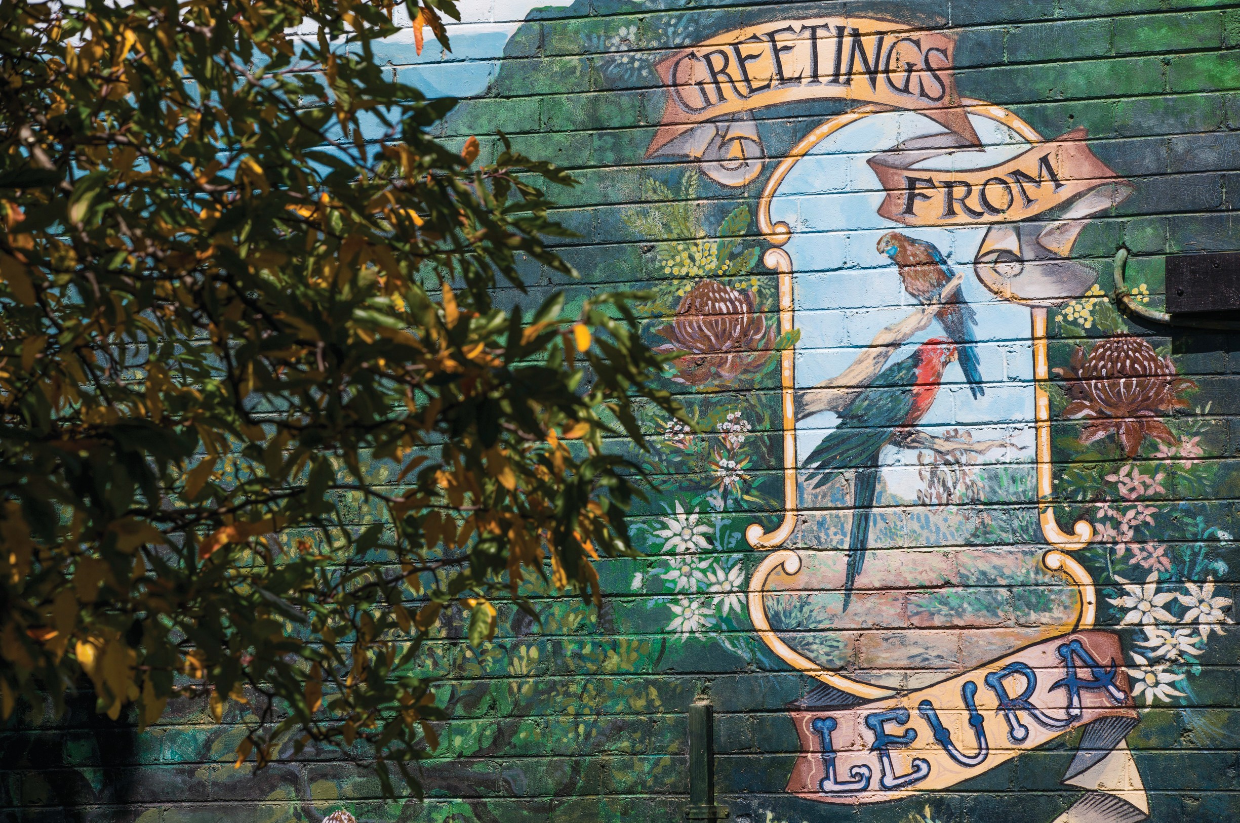 Aus nsw blue mountains streetscapes leura