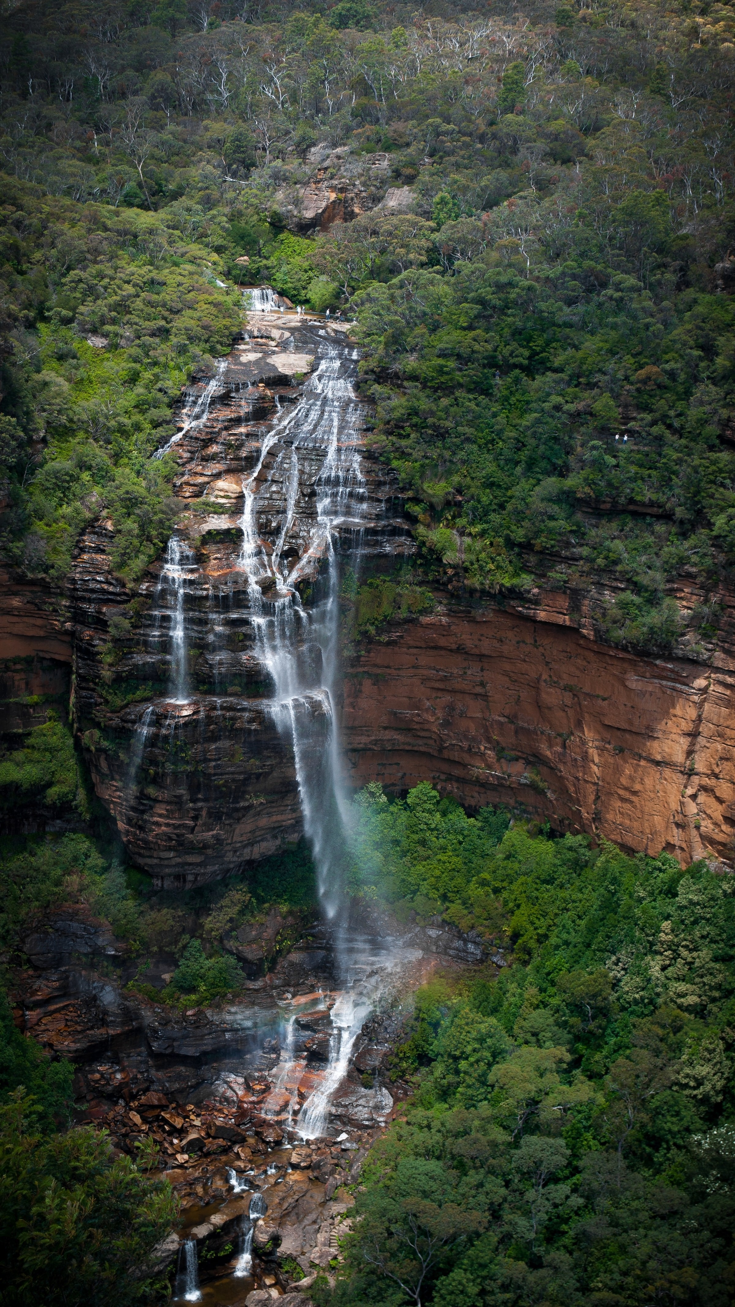 Aus nsw blue mountains wentworth falls