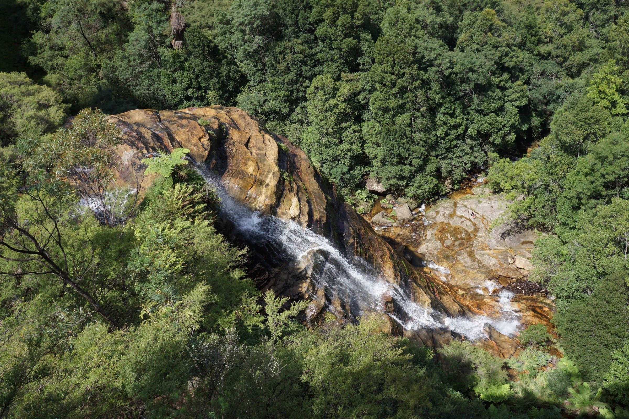 Aus nsw blue mountains wentworth falls