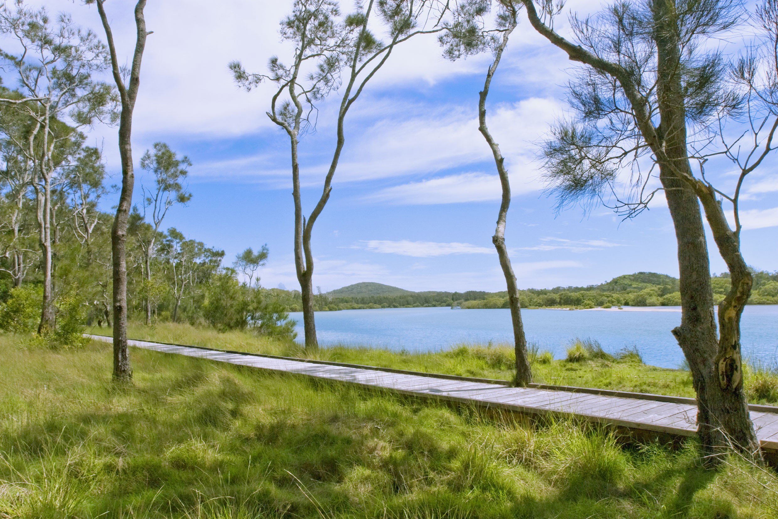 Aus nsw coffs coast Red Rock Boardwalk credit coffscoast com