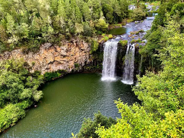 Aus nsw dorrigo national park coffs harbour calvin kurlekar unsplash