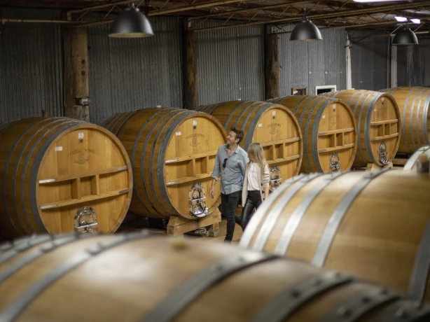 Aus nsw hunter valley cellar door wine
