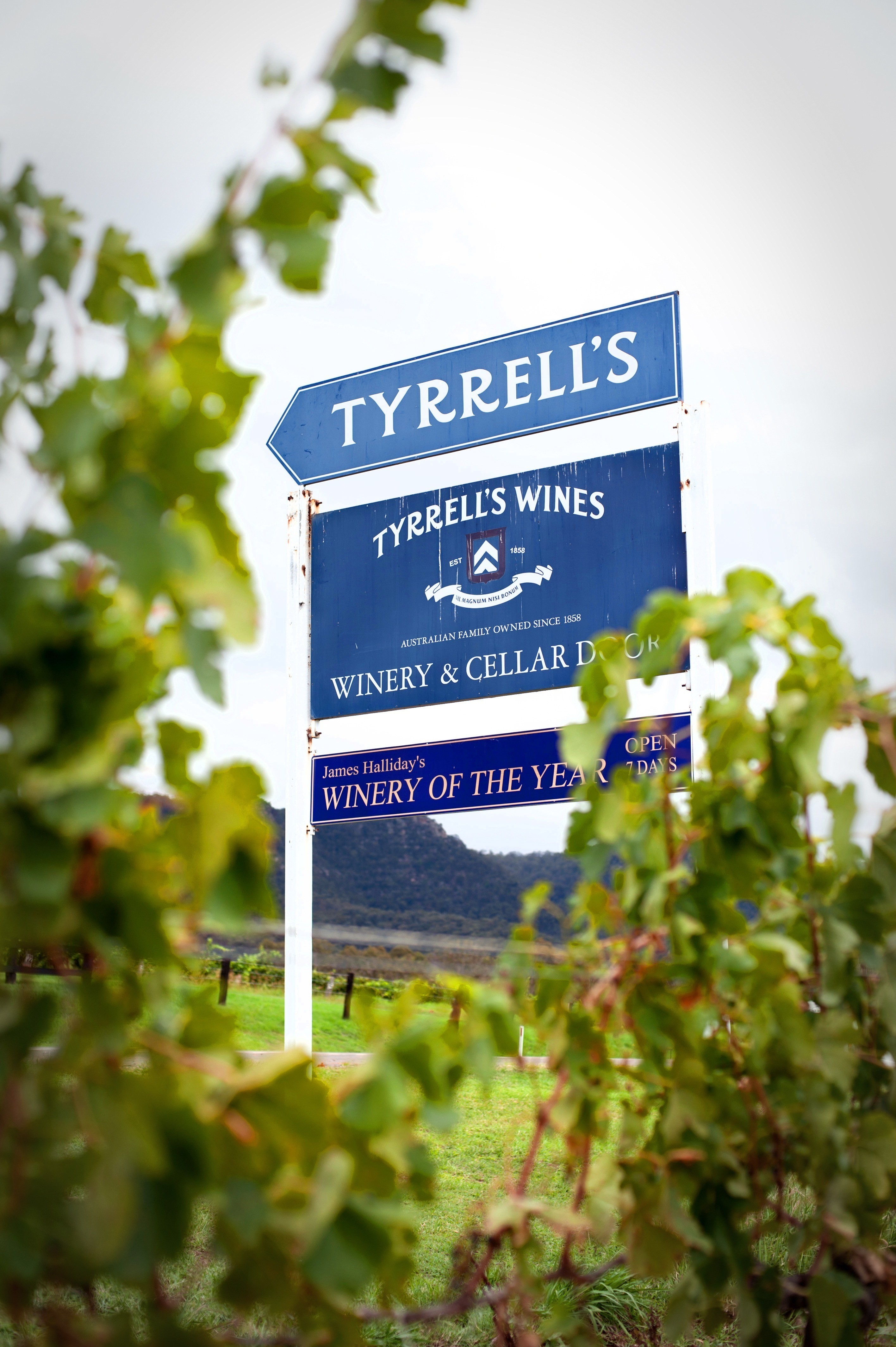 Aus nsw hunter valley winery