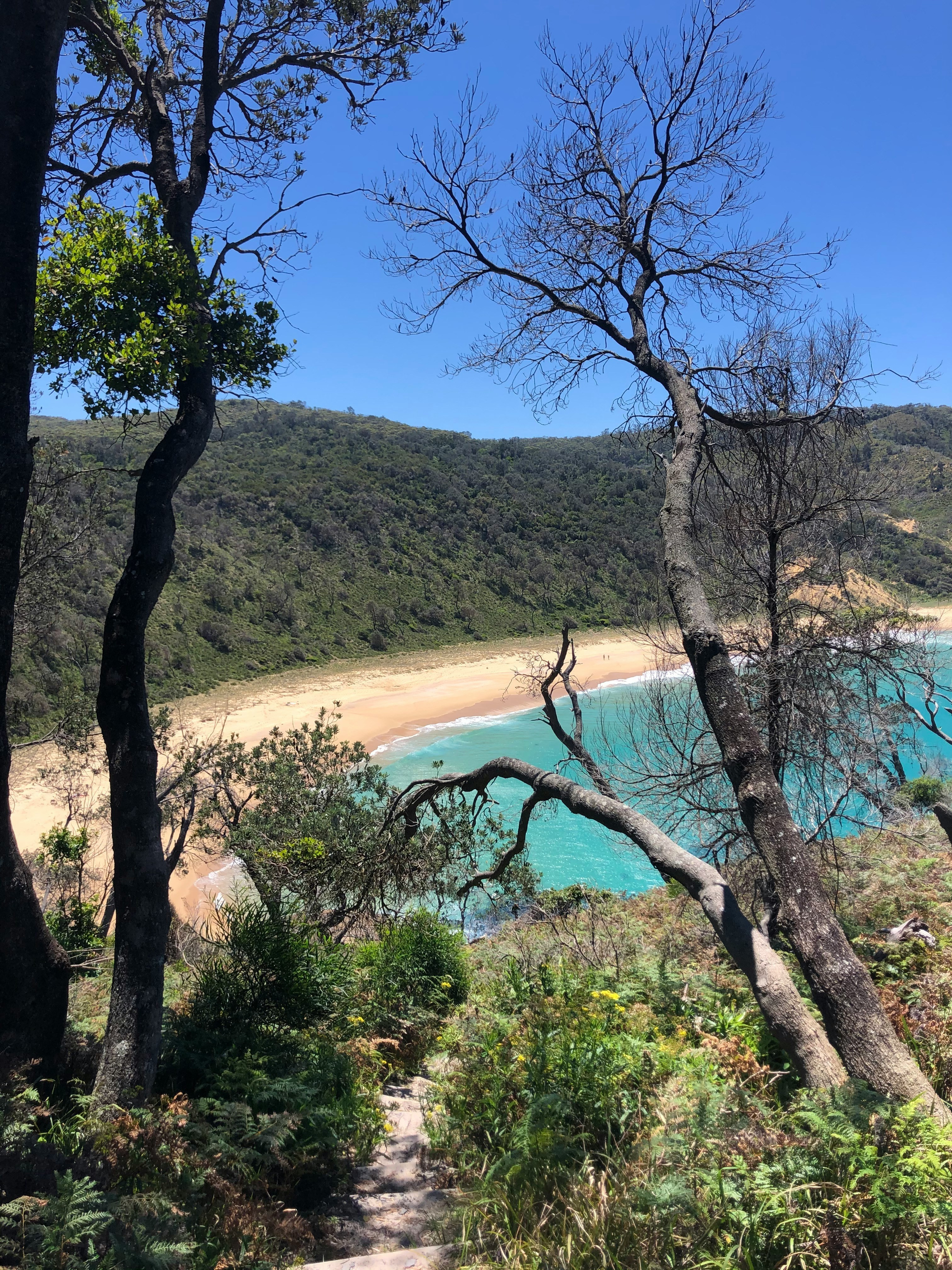 Aus nsw jervis bay boderee national park nadia levenets