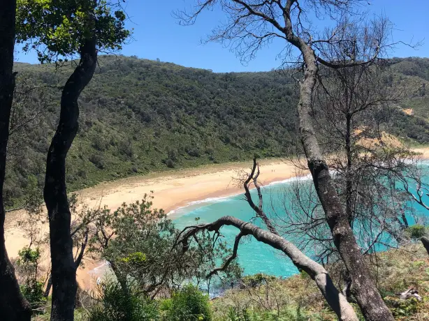 Aus nsw jervis bay boderee national park nadia levenets