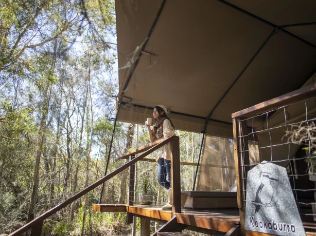 Aus nsw jervis bay paperbark tent