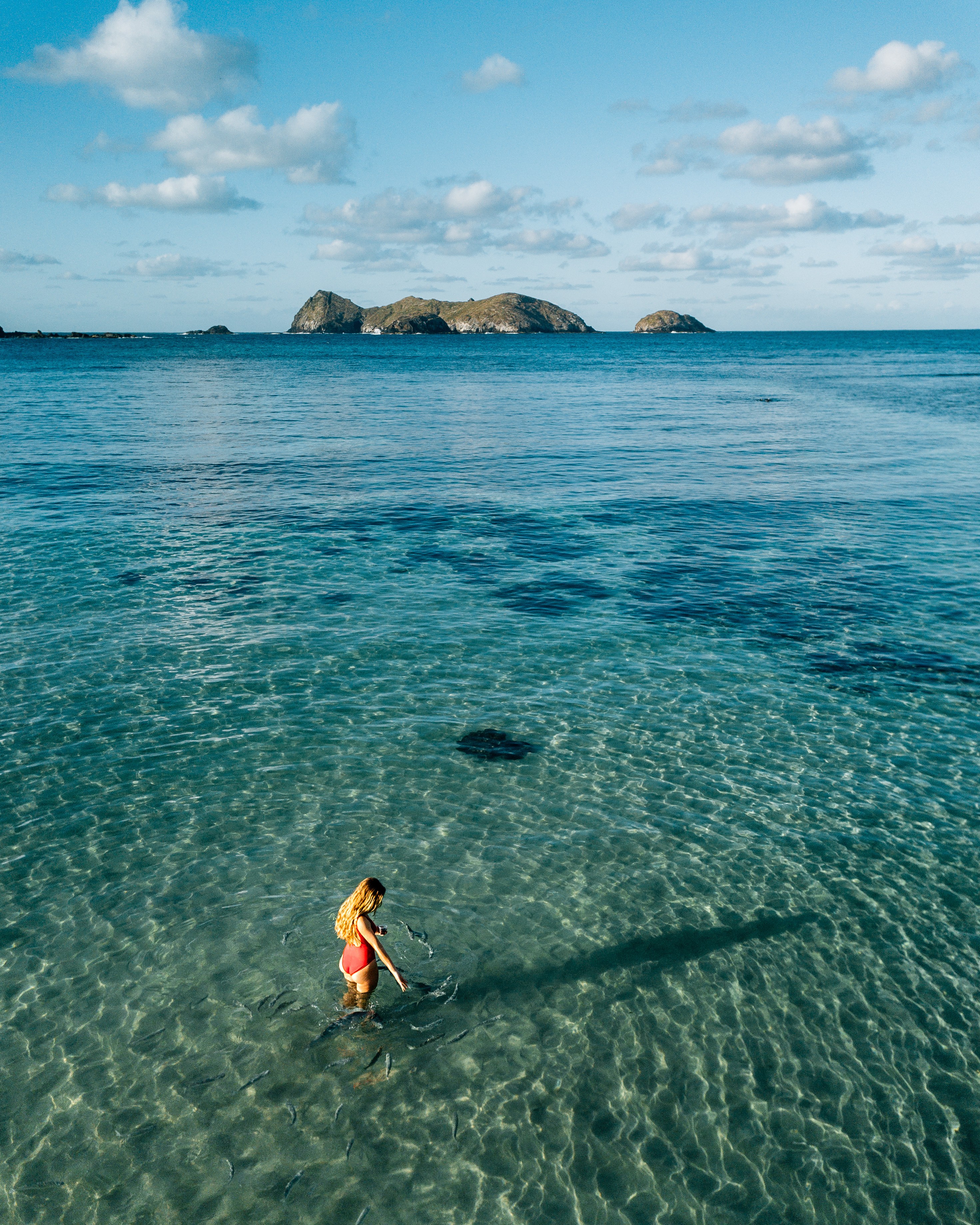 Aus nsw lord howe island Neds Beach