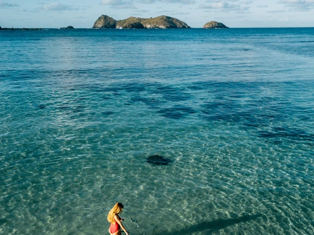 Aus nsw lord howe island Neds Beach