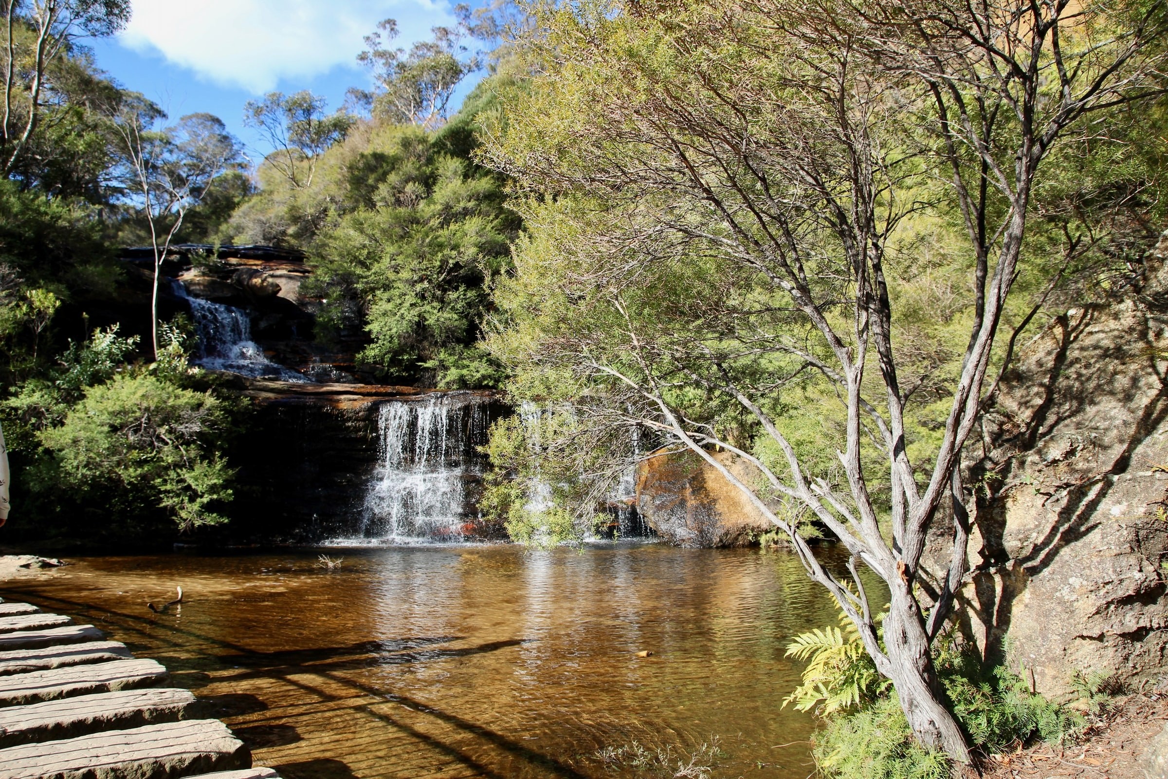 Aus nsw waterfall blue mountains