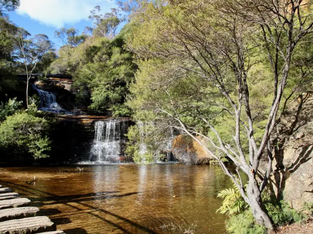 Aus nsw waterfall blue mountains