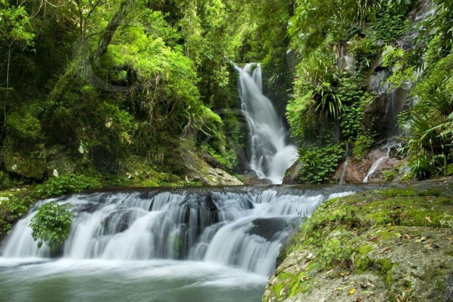 Lamington national park waterfall