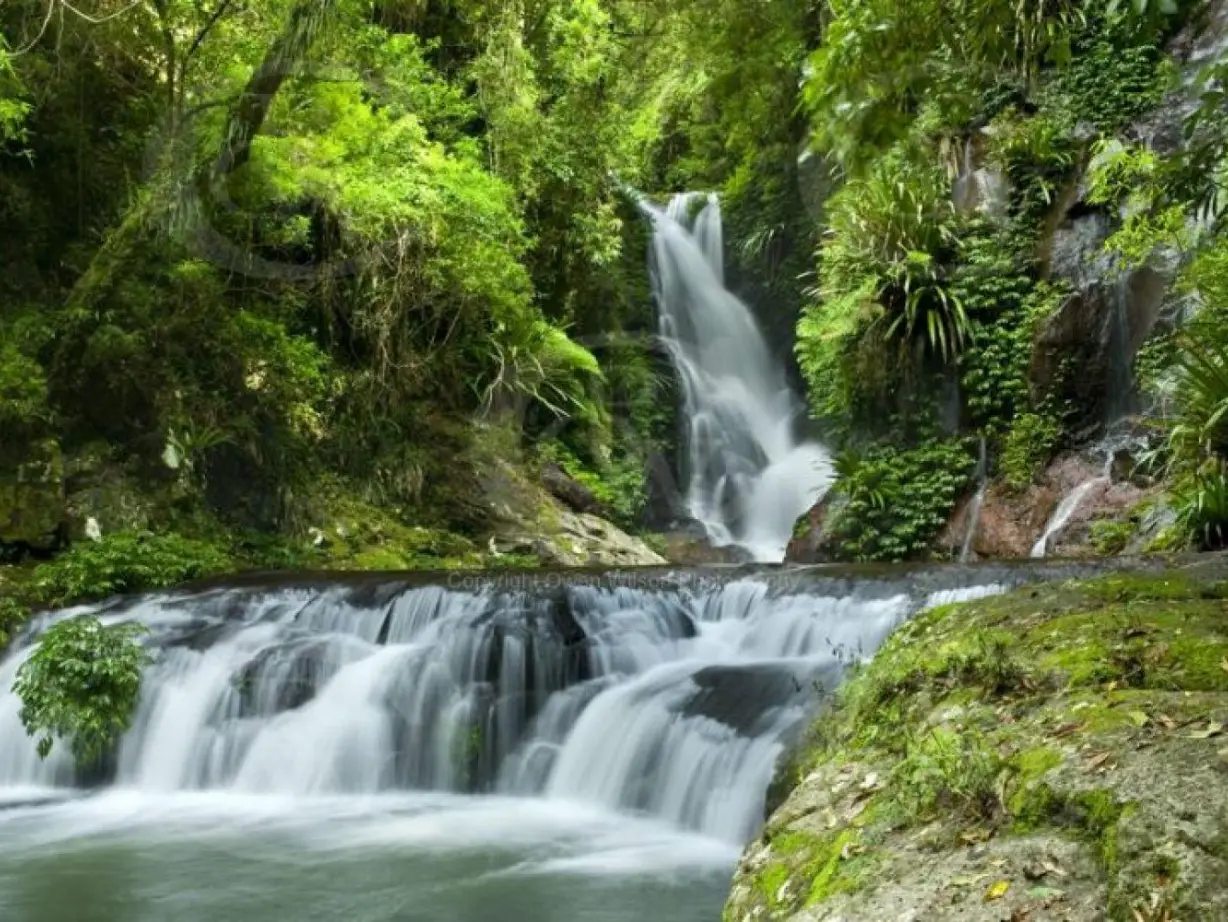 Lamington national park waterfall