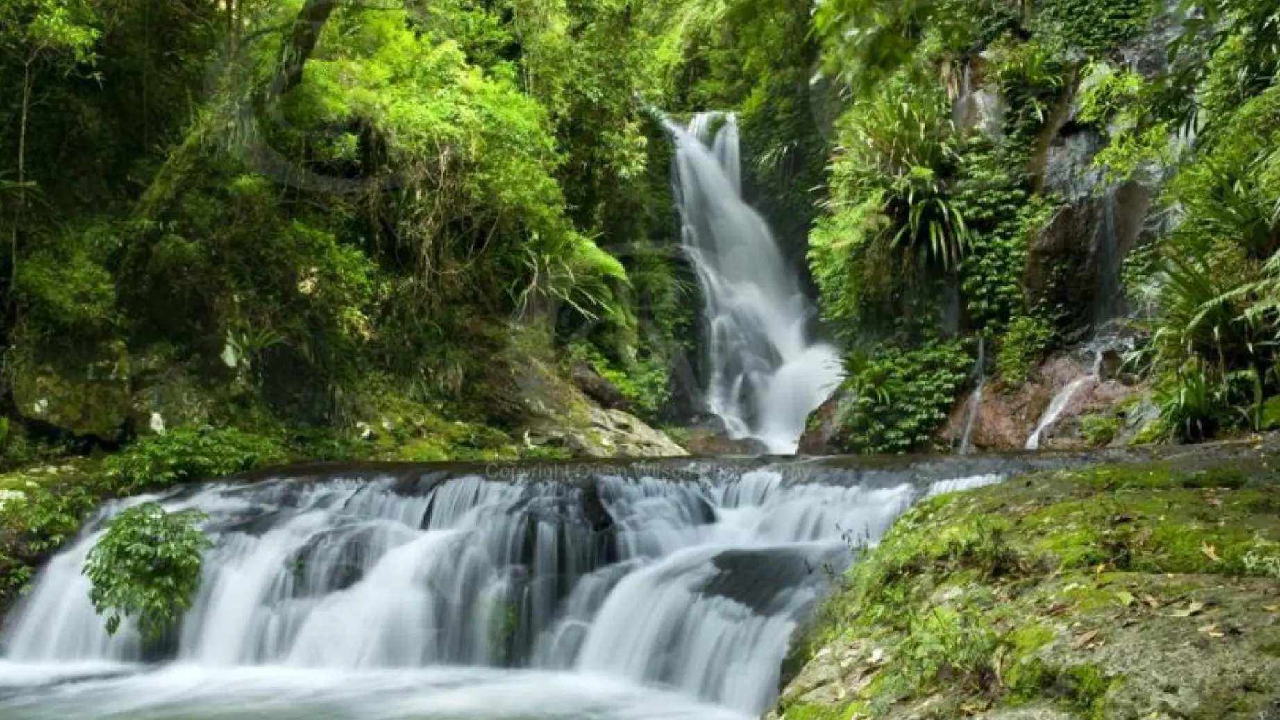 Lamington national park waterfall